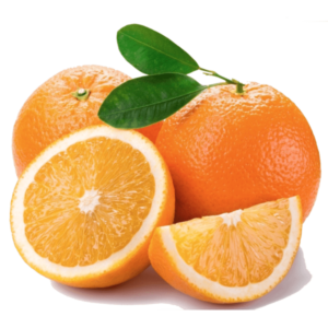 Best Quality Egyptian Orange, Super Fresh Egyptian Orange ( Naval – Baladi – Valancia – Blood ) Very competitive price